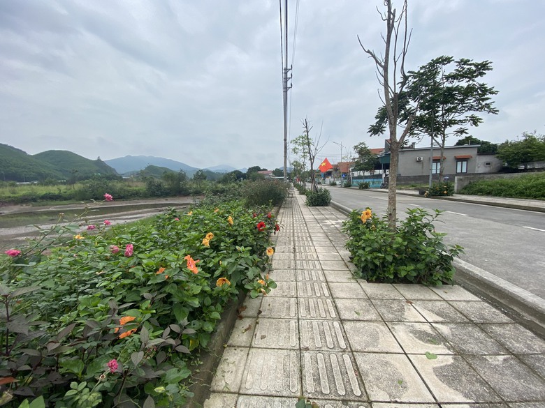 TP Cẩm Phả: Điểm s&aacute;ng x&acirc;y dựng giao th&ocirc;ng n&ocirc;ng th&ocirc;n mới, đ&ocirc; thị văn minh- Ảnh 2.
