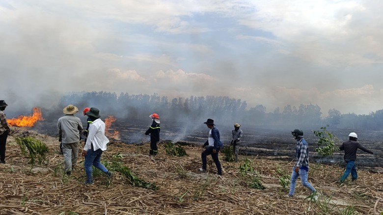 Kh&aacute;nh H&ograve;a: 45ha m&iacute;a của d&acirc;n bị lửa rừng thi&ecirc;u trụi- Ảnh 2.
