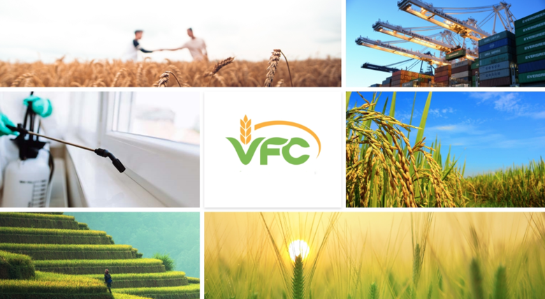 Trả thu nhập cho d&agrave;n l&atilde;nh đạo 64 tỷ trong qu&yacute; I, VFG l&agrave;m ăn ra sao?- Ảnh 2.