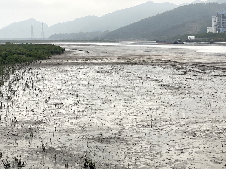 Quảng Ninh: Những &ldquo;d&ograve;ng s&ocirc;ng chết&rdquo; nguy cơ bức tử vịnh Hạ Long- Ảnh 2.