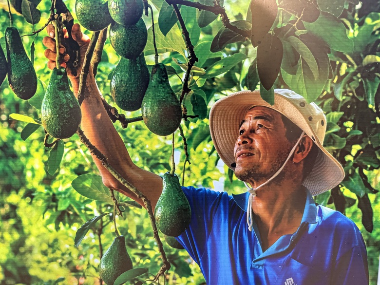 Lạc lối ở thủ phủ trái cây miền Đông Nam Bộ- Ảnh 8. Lạc lối ở thủ phủ trái cây miền Đông Nam Bộ- Ảnh 8.