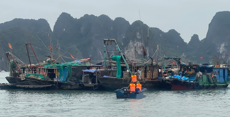 Quảng Ninh xử mạnh t&agrave;u chở kh&aacute;ch đi tour tr&aacute;i ph&eacute;p tr&ecirc;n vịnh Hạ Long- Ảnh 2.