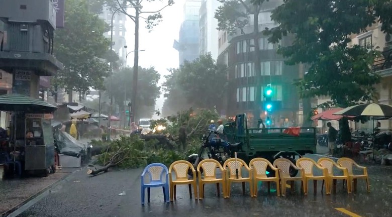 C&acirc;y đổ đầy đường, nước ngập l&ecirc;nh l&aacute;ng ngay trung t&acirc;m TP.HCM- Ảnh 9.