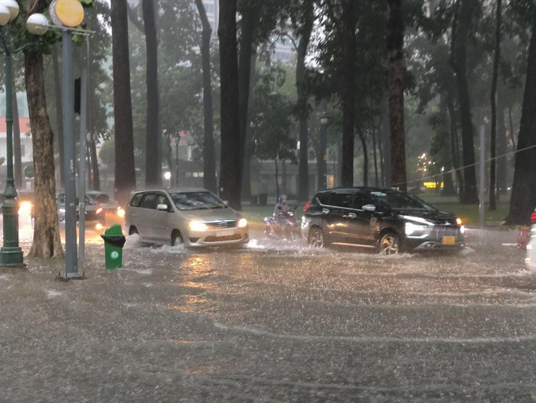 C&acirc;y đổ đầy đường, nước ngập l&ecirc;nh l&aacute;ng ngay trung t&acirc;m TP.HCM- Ảnh 1.