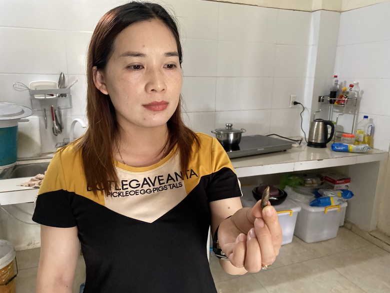 Quảng Ninh: Nghi vấn đạn từ thao trường bắn lạc v&agrave;o khu d&acirc;n cư- Ảnh 4.