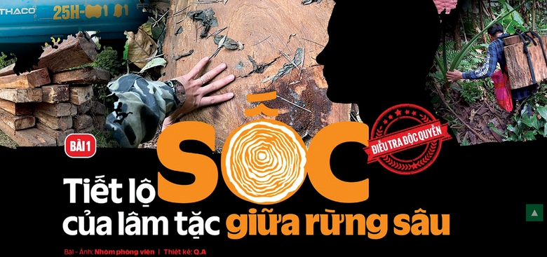 B&oacute;ng d&aacute;ng AI sau ph&oacute;ng sự điều tra đạt giải- Ảnh 1.