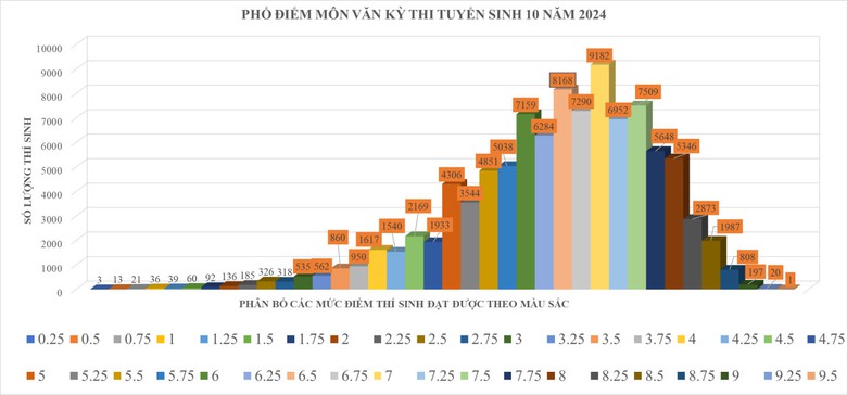 Điểm thi lớp 10 tại TP.HCM: M&ocirc;n tiếng Anh dẫn đầu số điểm 10- Ảnh 1.