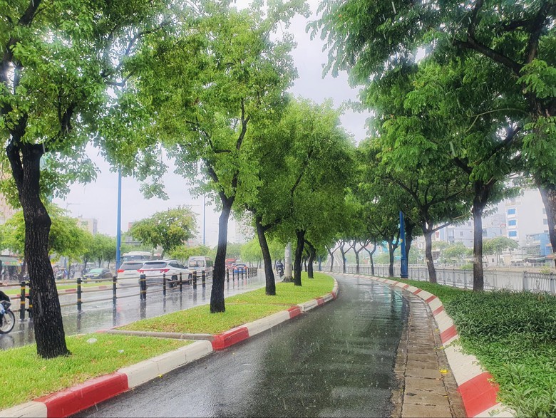 Bắt đầu đốn hạ, di dời gần 240 c&acirc;y xanh để mở rộng đại lộ Đ&ocirc;ng T&acirc;y- Ảnh 1.