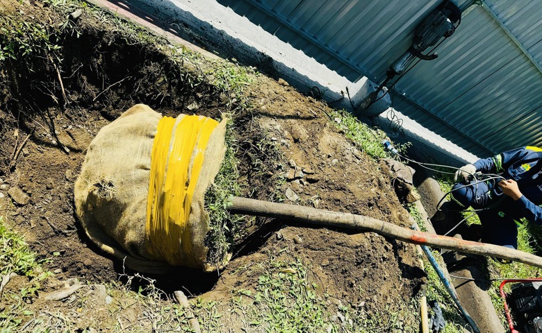 Bắt đầu đốn hạ, di dời gần 240 c&acirc;y xanh để mở rộng đại lộ Đ&ocirc;ng T&acirc;y- Ảnh 6.