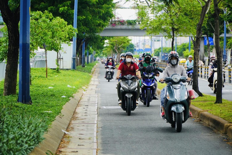 Bắt đầu đốn hạ, di dời gần 240 c&acirc;y xanh để mở rộng đại lộ Đ&ocirc;ng T&acirc;y- Ảnh 9.