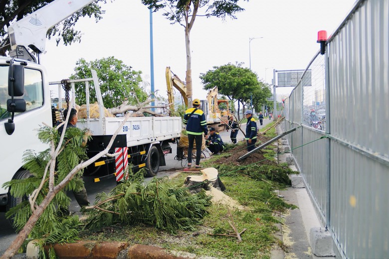 Bắt đầu đốn hạ, di dời gần 240 c&acirc;y xanh để mở rộng đại lộ Đ&ocirc;ng T&acirc;y- Ảnh 7.