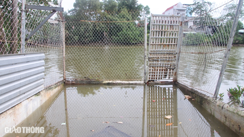 Sạt lở s&ocirc;ng Bạc Li&ecirc;u - C&agrave; Mau: Bất lực nh&igrave;n nh&agrave; tr&ocirc;i s&ocirc;ng- Ảnh 1.