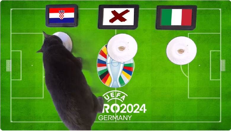 Mèo tiên tri dự đoán kết quả Croatia vs Italy: Căng thẳng cho tấm vé đi tiếp- Ảnh 1.