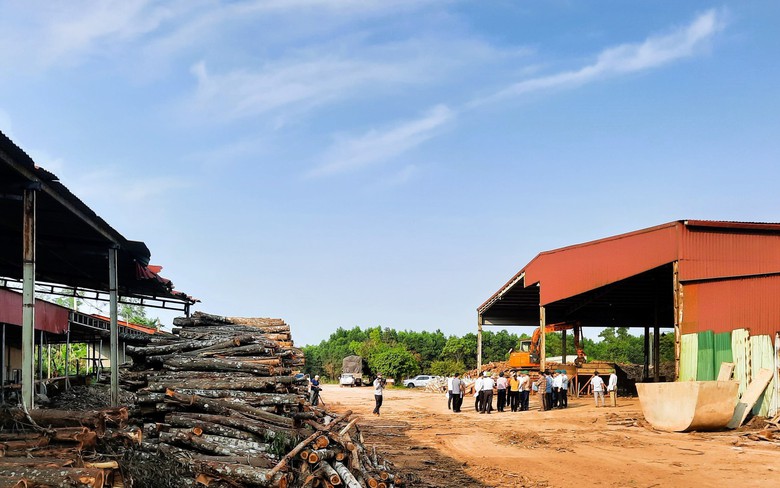 Chấp thuận chủ trương dời nh&agrave; m&aacute;y c&ocirc;ng ty l&acirc;m sản để GPMB cao tốc Vạn Ninh - Cam Lộ