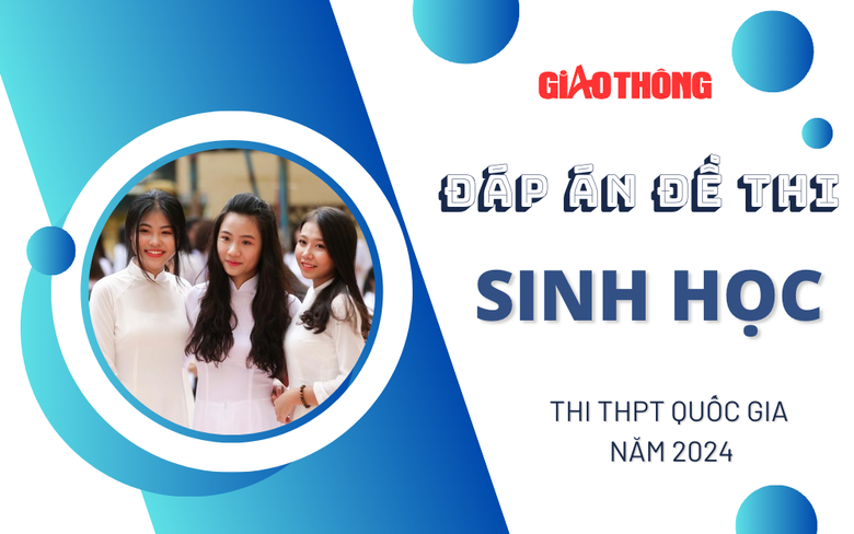 Đáp án đề thi môn Sinh học THPT 2024 tất cả mã đề. Đáp án đề thi môn Sinh học THPT 2024 tất cả mã đề.