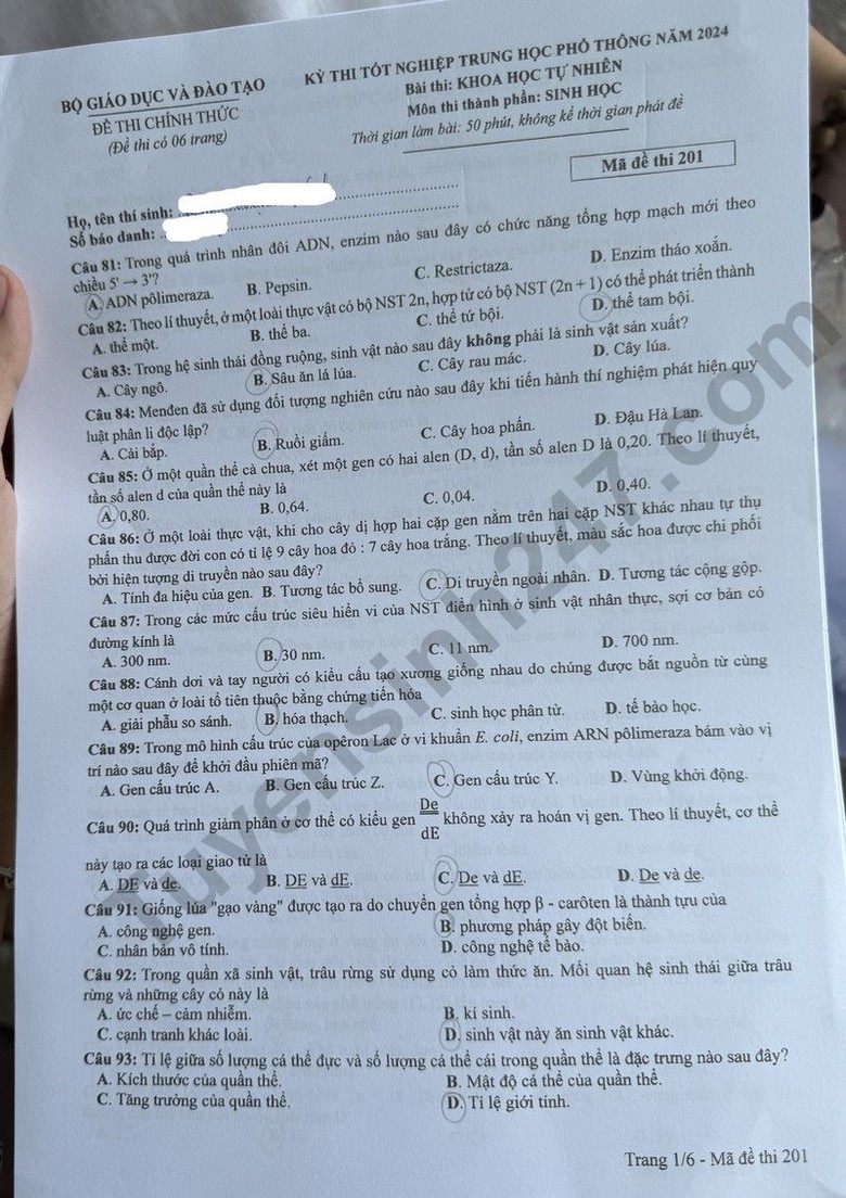 Đáp án đề thi môn Sinh học THPT 2024 tất cả mã đề- Ảnh 1. Đáp án đề thi môn Sinh học THPT 2024 tất cả mã đề- Ảnh 1.