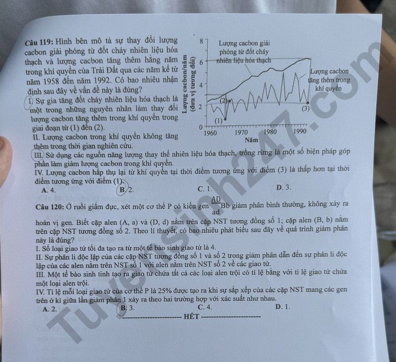 Đáp án đề thi môn Sinh học THPT 2024 tất cả mã đề- Ảnh 6. Đáp án đề thi môn Sinh học THPT 2024 tất cả mã đề- Ảnh 6.
