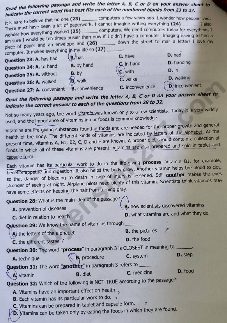 Đ&aacute;p &aacute;n đề thi tuyển sinh lớp 10 m&ocirc;n Tiếng Anh Kh&aacute;nh H&ograve;a năm 2024- Ảnh 4.