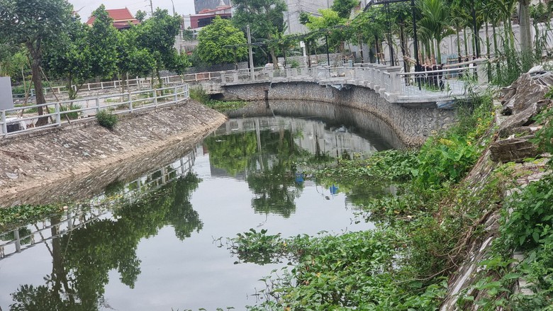 Thái Bình: Một hộ dân ngang nhiên chiếm đường, lấn sông làm đẹp biệt thự riêng- Ảnh 4. Thái Bình: Một hộ dân ngang nhiên chiếm đường, lấn sông làm đẹp biệt thự riêng- Ảnh 4.