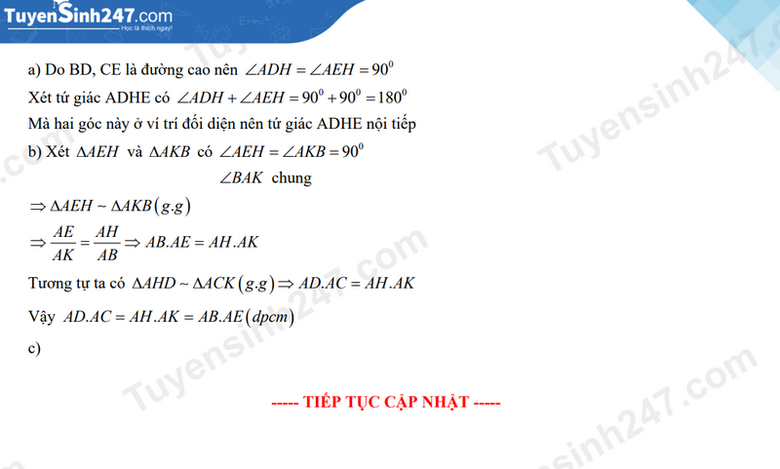 Đáp án đề thi tuyển sinh lớp 10 môn Toán Cần Thơ năm 2024- Ảnh 9. Đáp án đề thi tuyển sinh lớp 10 môn Toán Cần Thơ năm 2024- Ảnh 9.