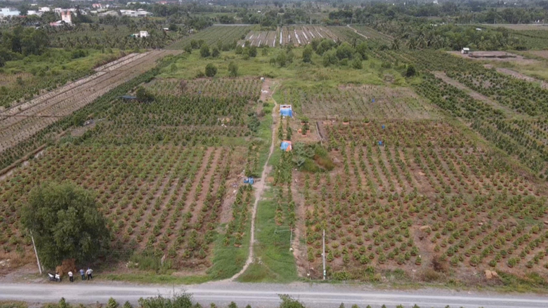 Người d&acirc;n sững sờ khi biết Unicons tự nhận 21 thửa đất trồng mai l&agrave; "b&atilde;i đổ thải hợp ph&aacute;p"- Ảnh 3.