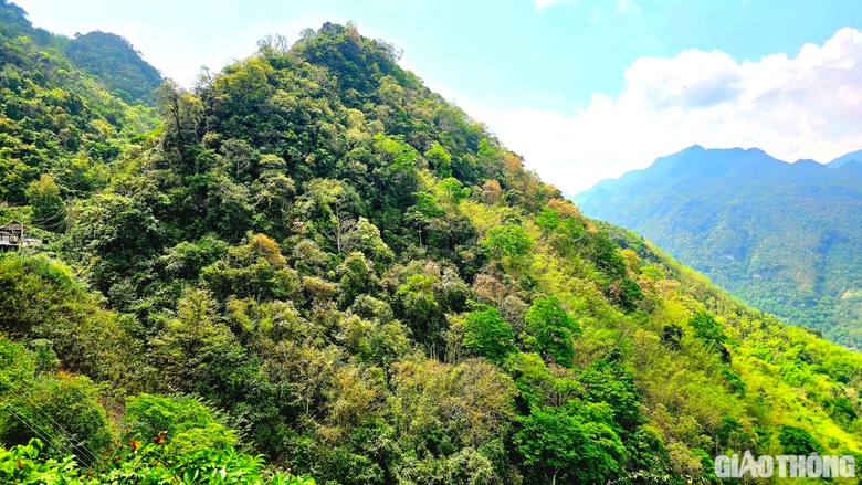 Cơ hội vàng từ thị trường carbon Việt Nam- Ảnh 2. Cơ hội vàng từ thị trường carbon Việt Nam- Ảnh 2.