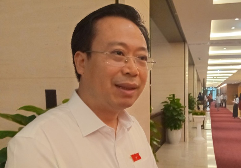 Trả lời chất vấn: Kh&ocirc;ng cần lời hay &yacute; đẹp, cần giải ph&aacute;p- Ảnh 4.
