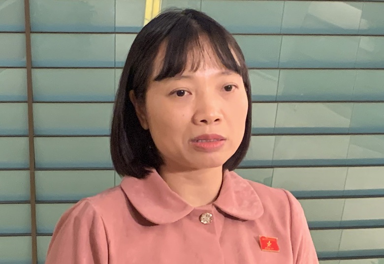 Trả lời chất vấn: Kh&ocirc;ng cần lời hay &yacute; đẹp, cần giải ph&aacute;p- Ảnh 5.