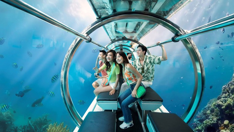 Đề xuất nhiều quy định mới về hoạt động t&agrave;u lặn- Ảnh 1.