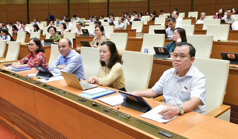 Đại biểu lo triển khai đồng loạt 30 cơ chế đặc th&ugrave; sẽ dở dang v&igrave; kh&ocirc;ng đủ lực- Ảnh 3.