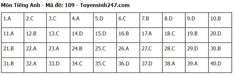 Đ&aacute;p &aacute;n đề thi tuyển sinh lớp 10 m&ocirc;n Tiếng Anh H&agrave; Nội năm 2024- Ảnh 10.