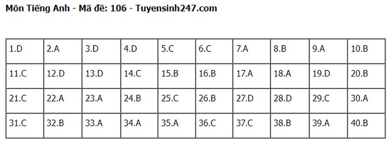 Đ&aacute;p &aacute;n đề thi tuyển sinh lớp 10 m&ocirc;n Tiếng Anh H&agrave; Nội năm 2024- Ảnh 7.