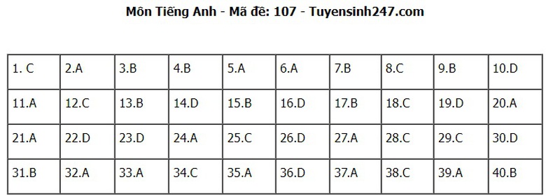 Đ&aacute;p &aacute;n đề thi tuyển sinh lớp 10 m&ocirc;n Tiếng Anh H&agrave; Nội năm 2024- Ảnh 8.
