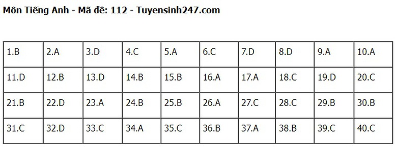Đ&aacute;p &aacute;n đề thi tuyển sinh lớp 10 m&ocirc;n Tiếng Anh H&agrave; Nội năm 2024- Ảnh 13.