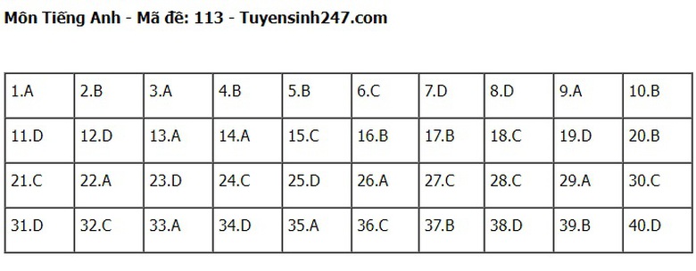 Đ&aacute;p &aacute;n đề thi tuyển sinh lớp 10 m&ocirc;n Tiếng Anh H&agrave; Nội năm 2024- Ảnh 14.
