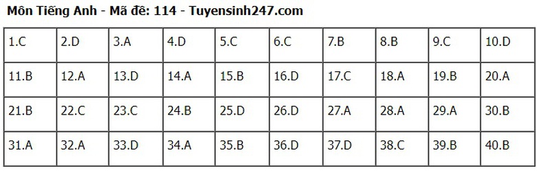 Đ&aacute;p &aacute;n đề thi tuyển sinh lớp 10 m&ocirc;n Tiếng Anh H&agrave; Nội năm 2024- Ảnh 15.
