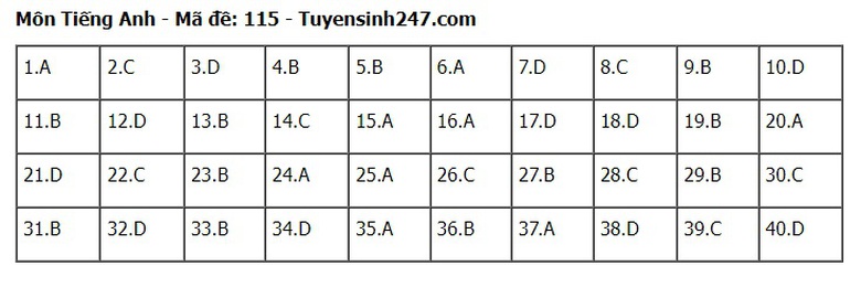 Đ&aacute;p &aacute;n đề thi tuyển sinh lớp 10 m&ocirc;n Tiếng Anh H&agrave; Nội năm 2024- Ảnh 16.