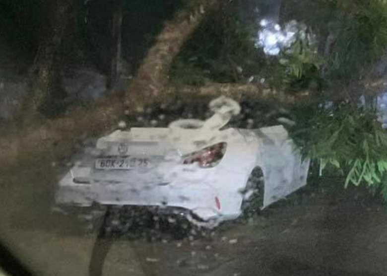 Mưa lớn, c&acirc;y đổ đ&egrave; bẹp &ocirc; t&ocirc; con ở Đồng Nai- Ảnh 1.