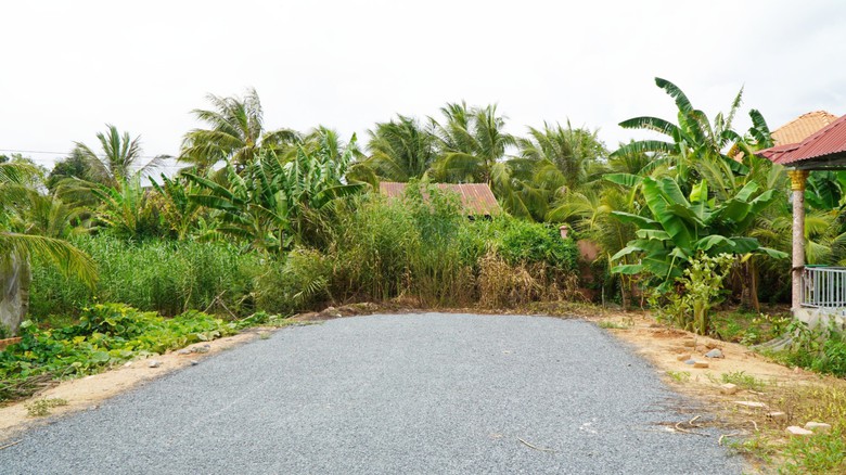 Đường hơn 7 tỷ bị chặn 2 đầu v&igrave; vướng mặt bằng, d&acirc;n mang củi ra phơi- Ảnh 3.