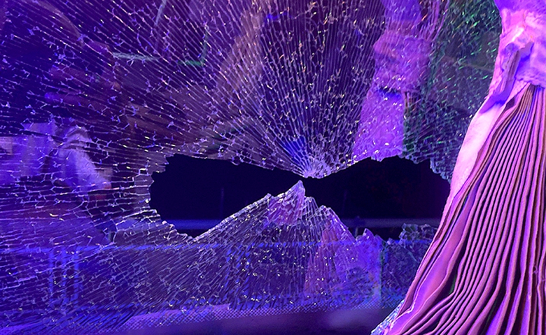 Nghi&ecirc;m trị h&agrave;nh vi n&eacute;m đ&aacute; xe đang chạy- Ảnh 2.