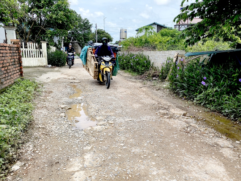 Quảng Ninh: D&acirc;n khổ v&igrave; dự &aacute;n hơn 100ha &ldquo;treo&rdquo;- Ảnh 3.