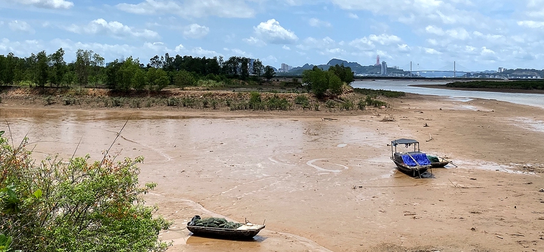 Quảng Ninh: D&acirc;n khổ v&igrave; dự &aacute;n hơn 100ha &ldquo;treo&rdquo;- Ảnh 4.