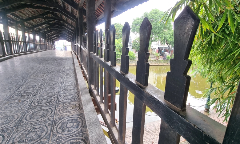 Ngắm những c&acirc;y cầu ng&oacute;i độc đ&aacute;o ở v&ugrave;ng biển Ninh B&igrave;nh- Ảnh 9.