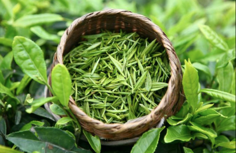 Loại thực phẩm b&aacute;n đầy chợ lại l&agrave; &ldquo;bảo bối&rdquo; sức khỏe kh&ocirc;ng phải ai cũng biết- Ảnh 1.