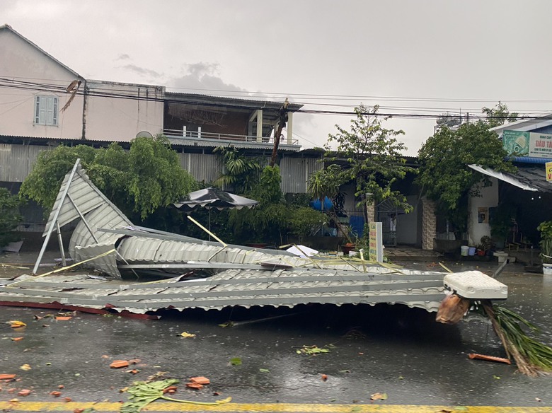 Mưa lớn kèm gió lốc, cây sao cao 30m ngã đổ chắn ngang QL20- Ảnh 4. Mưa lớn kèm gió lốc, cây sao cao 30m ngã đổ chắn ngang QL20- Ảnh 4.