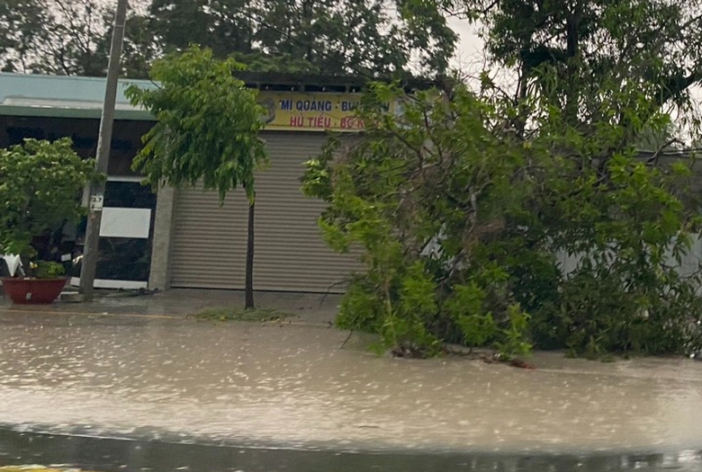 Mưa lớn kèm gió lốc, cây sao cao 30m ngã đổ chắn ngang QL20- Ảnh 9. Mưa lớn kèm gió lốc, cây sao cao 30m ngã đổ chắn ngang QL20- Ảnh 9.