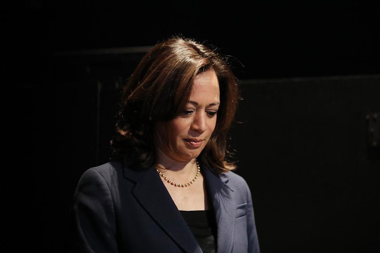 Th&aacute;ch thức bủa v&acirc;y b&agrave; Kamala Harris tr&ecirc;n đường đua v&agrave;o Nh&agrave; Trắng - Ảnh 2.
