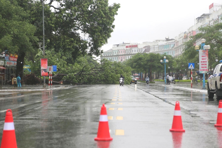 Cận cảnh c&acirc;y đổ, phố ngập, đường sạt lở ở Quảng Ninh sau b&atilde;o số 2- Ảnh 2.