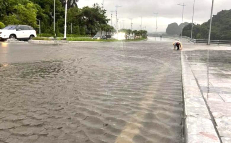 Cận cảnh c&acirc;y đổ, phố ngập, đường sạt lở ở Quảng Ninh sau b&atilde;o số 2- Ảnh 5.