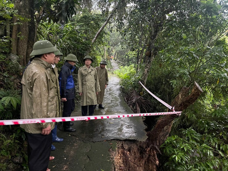 B&atilde;o số 2 đổ bộ: Quảng Ninh, Hải Ph&ograve;ng mưa lớn, nhiều c&acirc;y xanh g&atilde;y đổ- Ảnh 3.